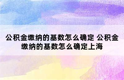 公积金缴纳的基数怎么确定 公积金缴纳的基数怎么确定上海